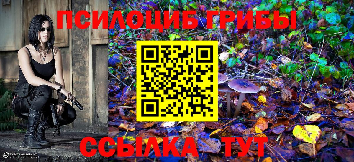 Псилоцибиновые грибы ЛСД Саранск