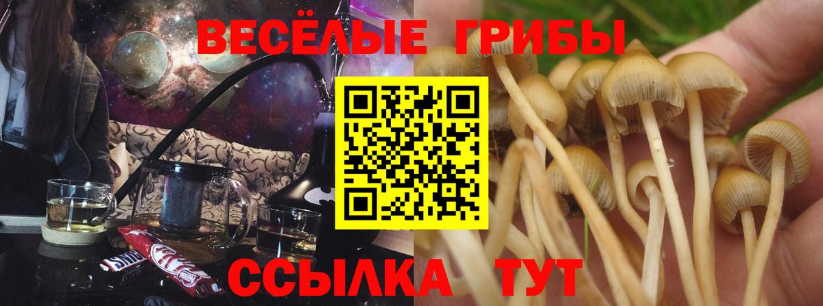 Галлюциногенные грибы прущие грибы  дарнет шоп  Саранск  Вход с VPN 
